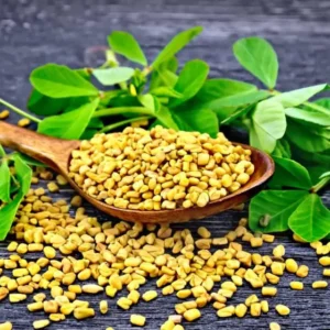 Ethiopian Fenugreek Abish