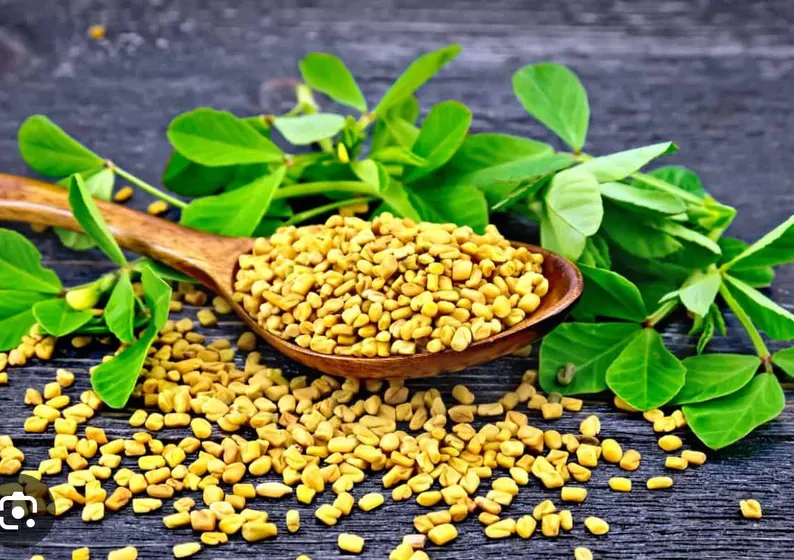 Ethiopian Fenugreek Abish